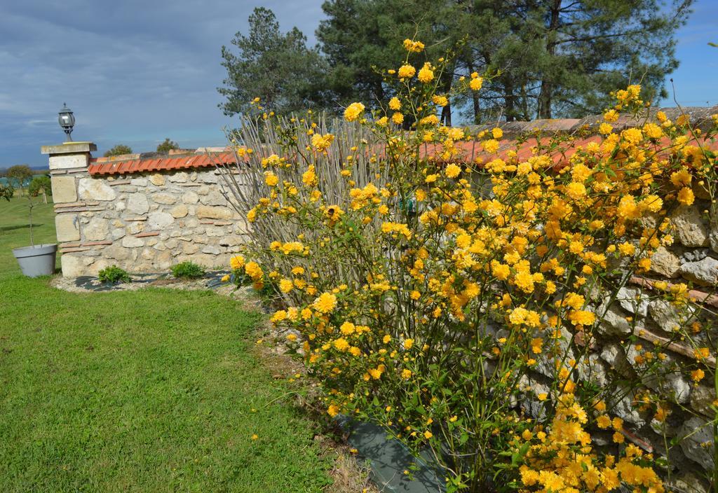 Le Coteau De Bazeille Sauna&Detente Sas Sainte-Bazeille Εξωτερικό φωτογραφία