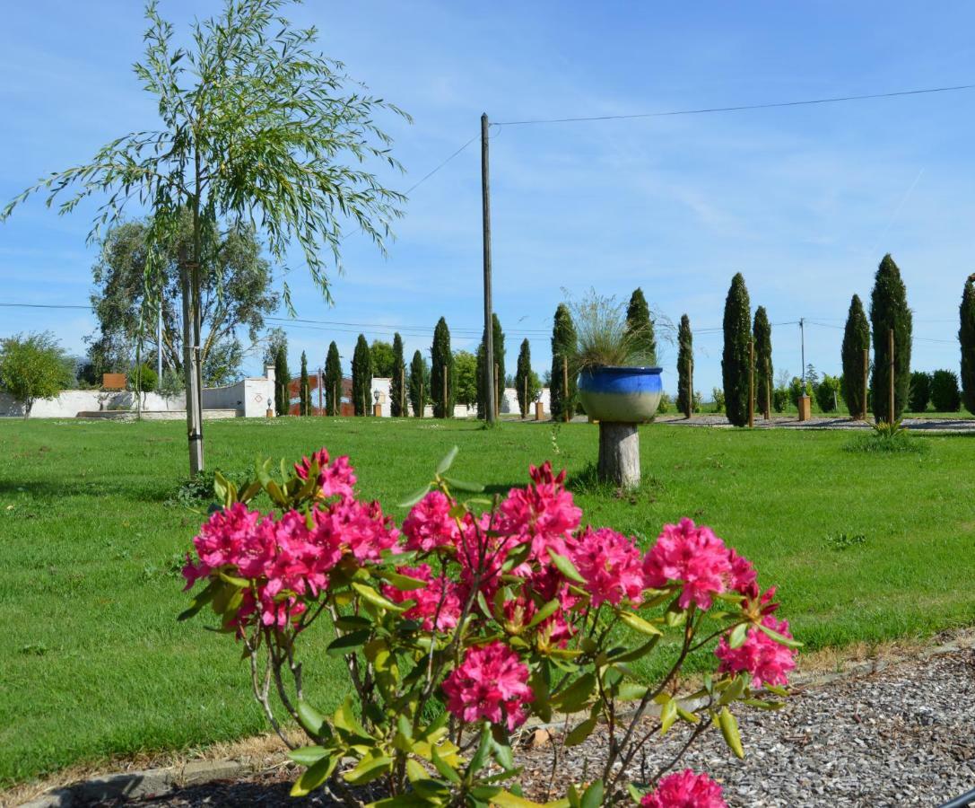 Le Coteau De Bazeille Sauna&Detente Sas Sainte-Bazeille Εξωτερικό φωτογραφία