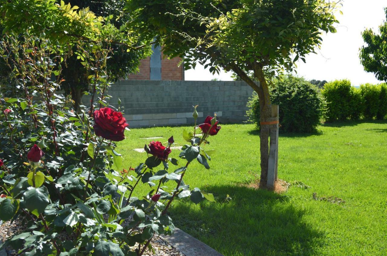 Le Coteau De Bazeille Sauna&Detente Sas Sainte-Bazeille Εξωτερικό φωτογραφία